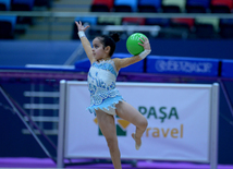 Bədii gimnastika üzrə 22-ci Azərbaycan Birinciliyi və Bölgələrarası Kubok yarışları. Bakı, Azərbaycan, 17 dekabr 2015